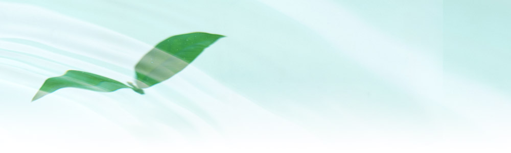 小さなお子様からご高齢の方まで、どんな小さな事でも、お気軽にご相談ください